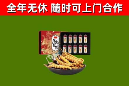 怀来县回收冬虫夏草价格